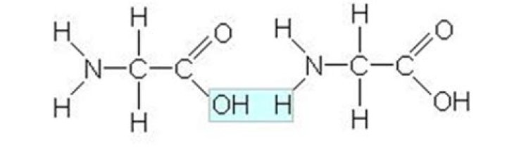 A Molecule With The Formula C18h36o2 Is Probably A