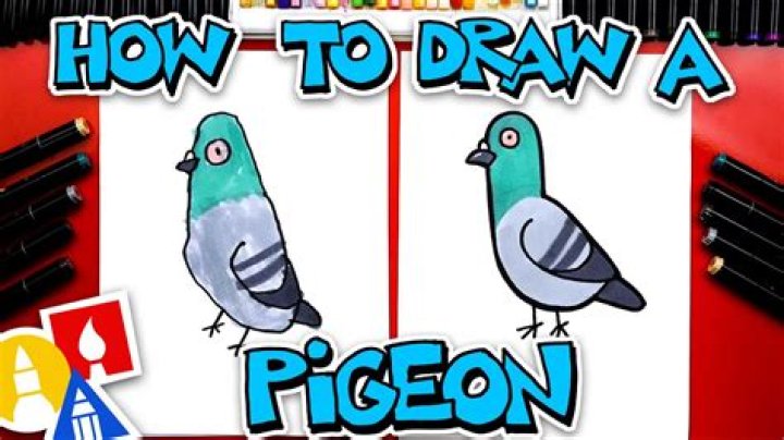 Another Name For Pigeon - How To Discuss
