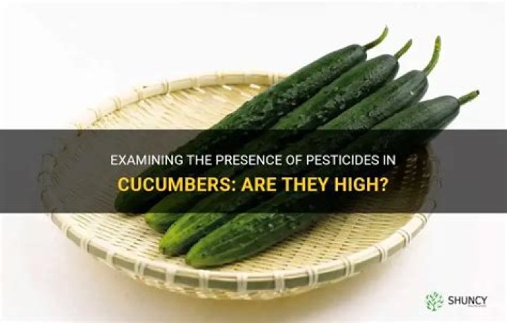 Are cucumbers high in pesticides