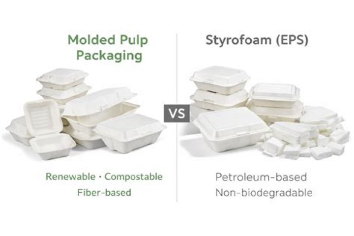 Are foam products biodegradable