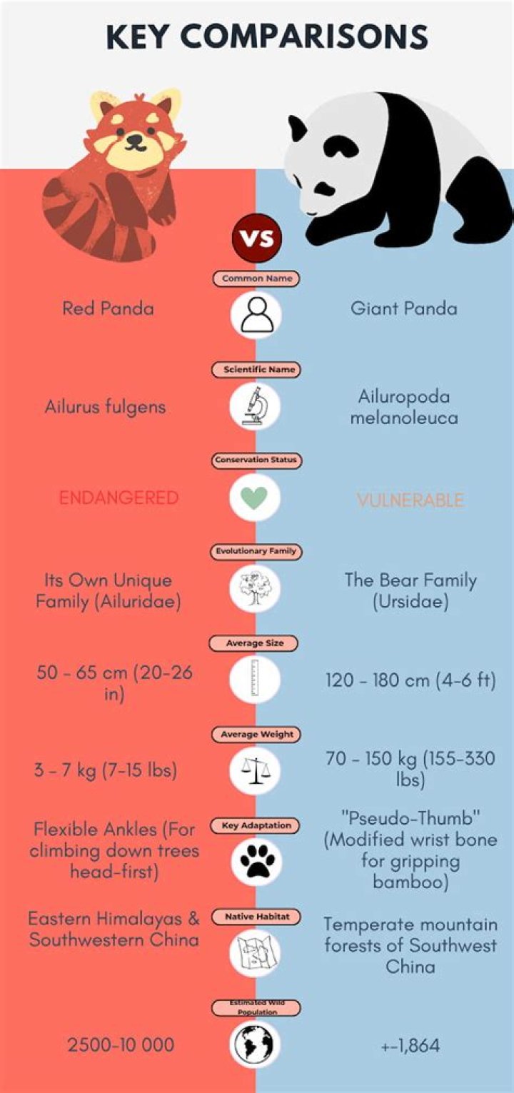 Are there normal pandas?