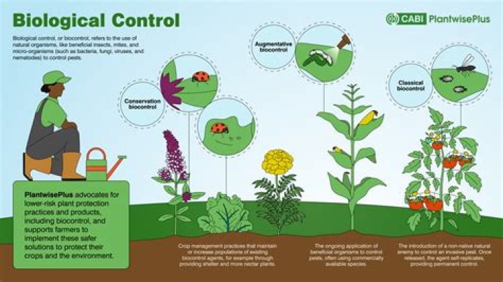 Biological product - How To Discuss