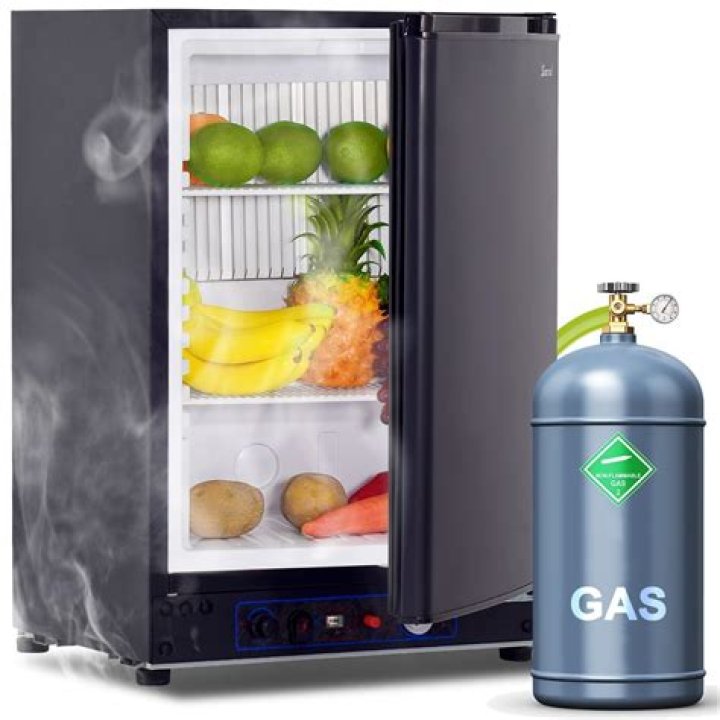 Can a 2 way fridge run on propane?