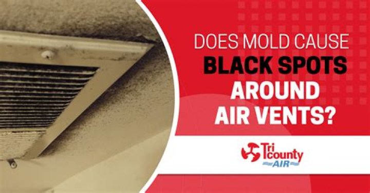 Can black mold grow in AC units