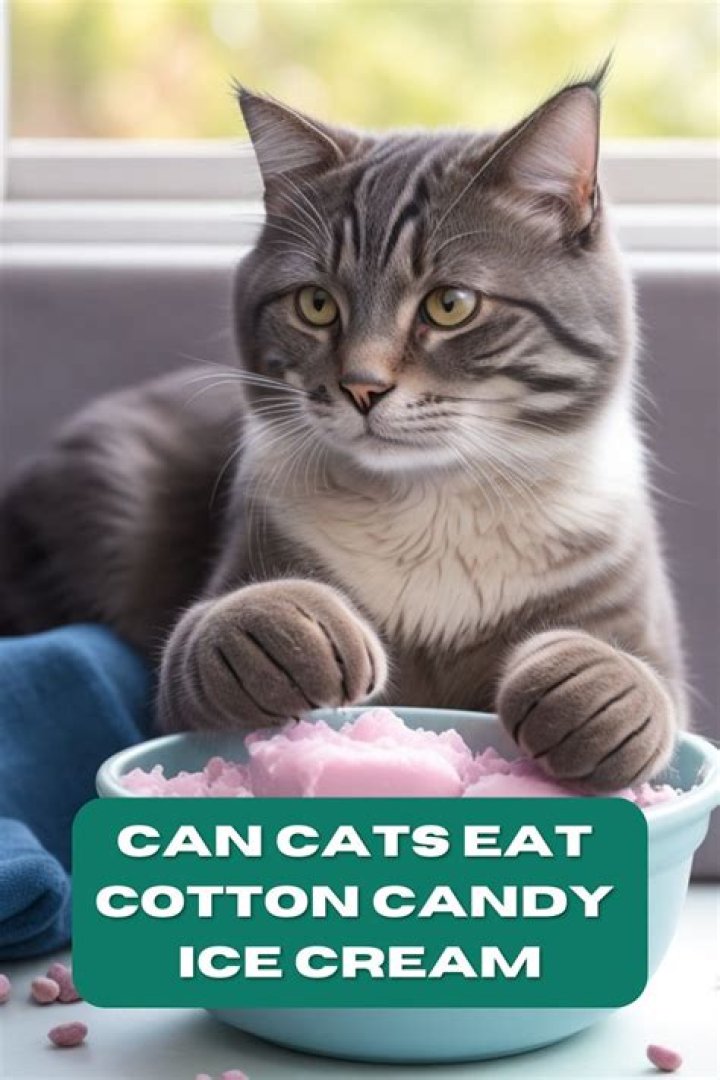 Can cats eat ice cream