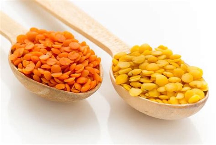 Can Dogs Eat Lentils
