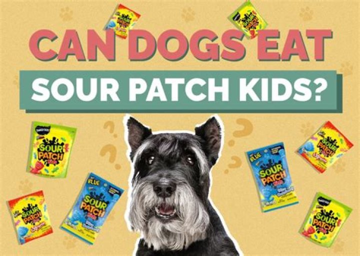 Can Dogs Eat Sour Patch Kids