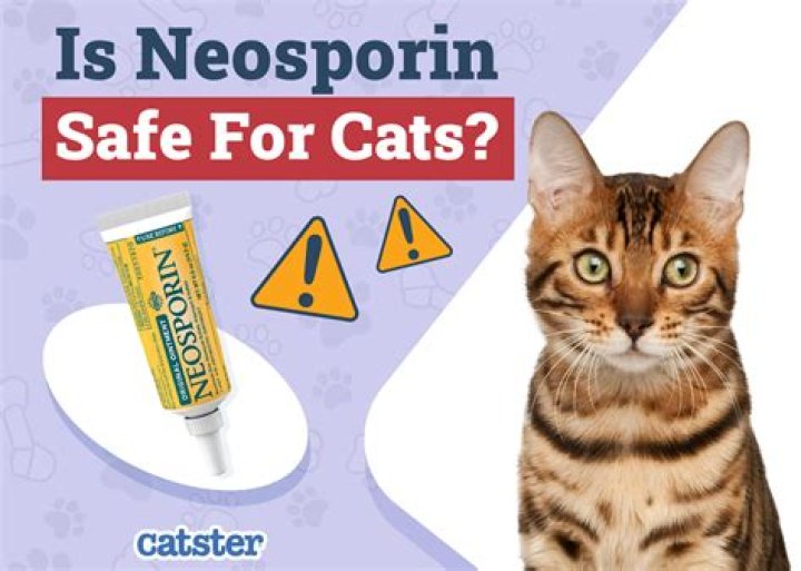 Can I put Neosporin on my cats nose