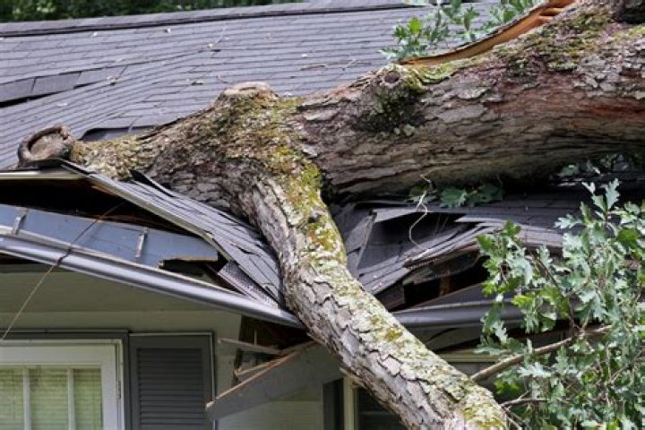 Can tree branches damage roof?