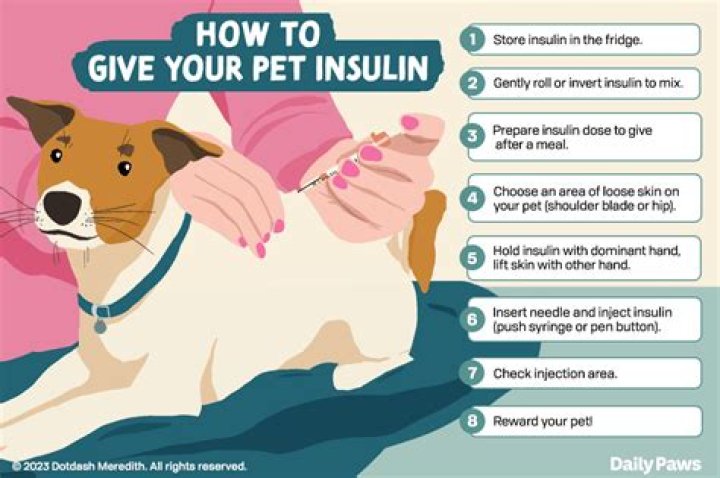 Can You Give A Dog Honey For Glucose