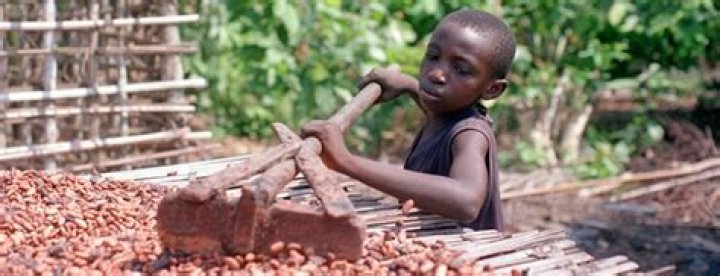 Do chocolates use child labor
