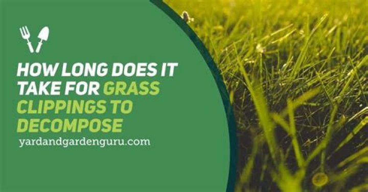 Do grass clippings decompose
