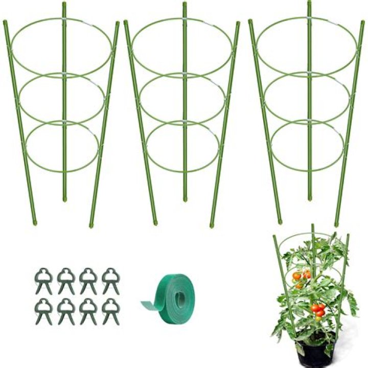 Do pepper plants need tomato cages