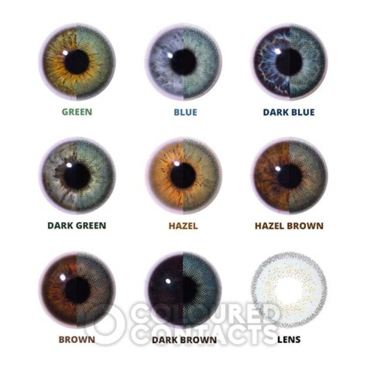 Do they still sell colored contacts?