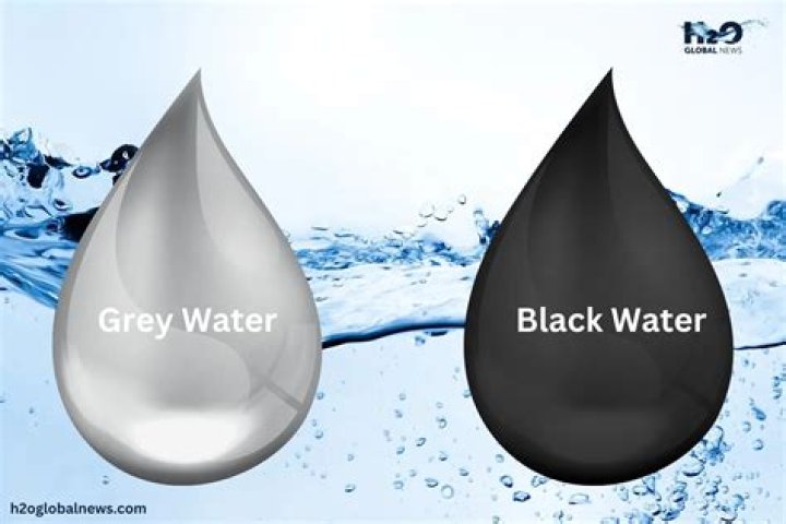 Do you dump the gray or black water first?