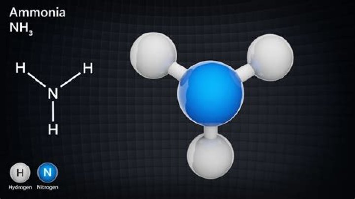 Does ammonia get rid of odor?