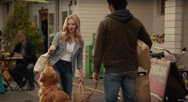 Does Enzo die in the art of racing in the rain