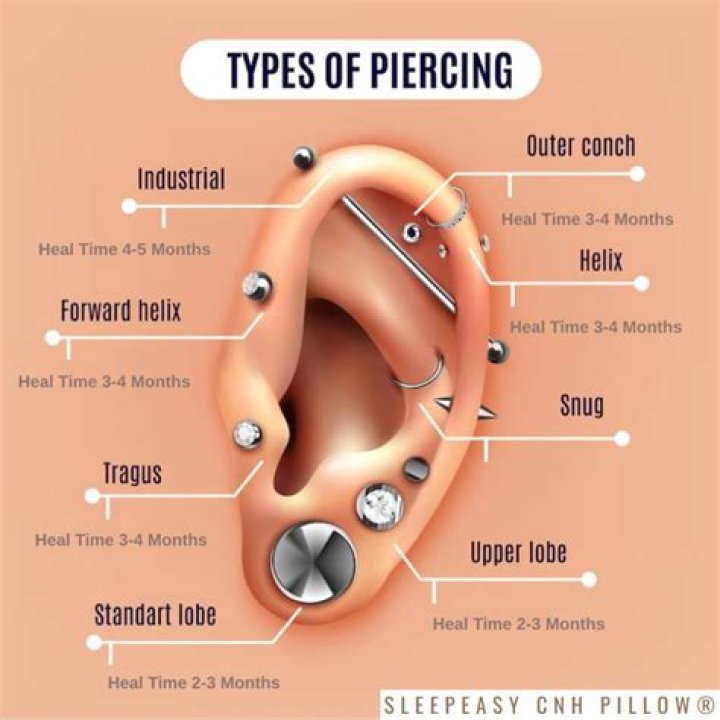 Dog Ear Piercing - How To Discuss