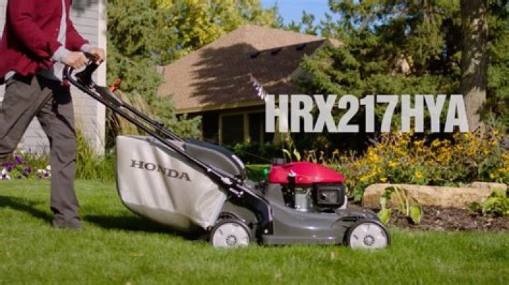 Honda Hrx217 - How To Discuss