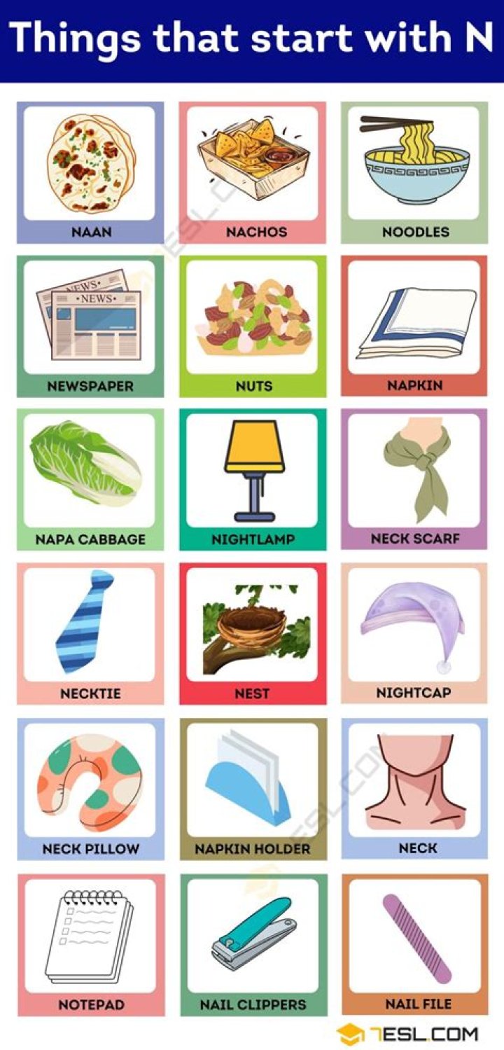 Household Items That Start With N