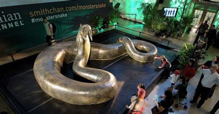 How big were snakes in prehistoric times