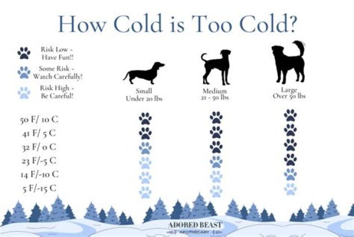 How cold is too cold to run my AC?