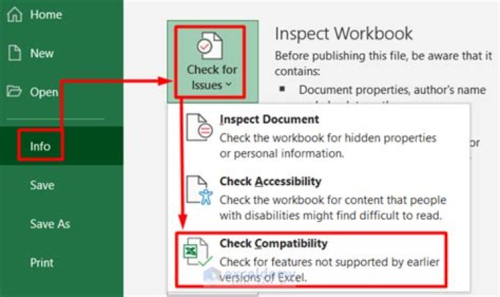 How do I check for compatibility in Excel?