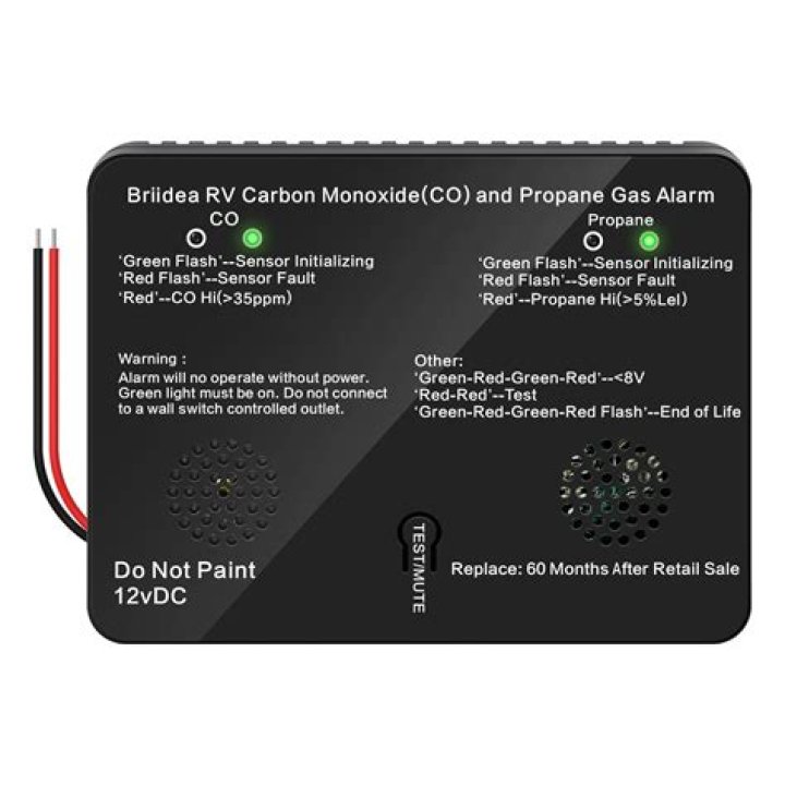 How do I test my RV carbon monoxide detector?