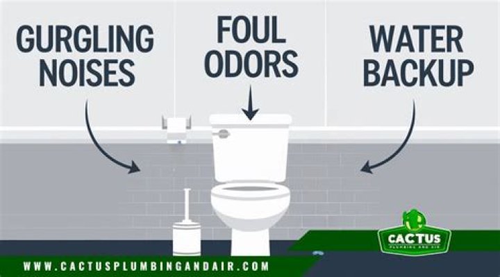 How do you get stuff out of a clogged toilet?