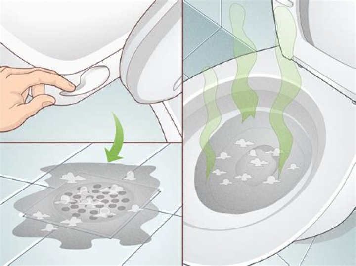How do you unclog a toilet in a fifth wheel?