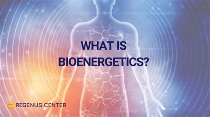How does bioenergetics work