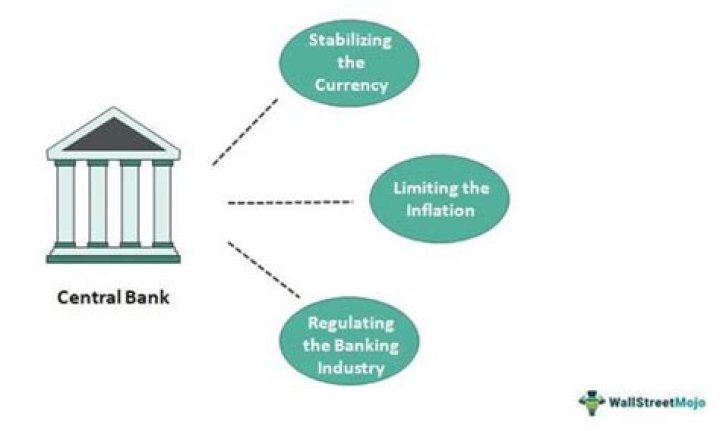 How does central bank regulate financial institutions