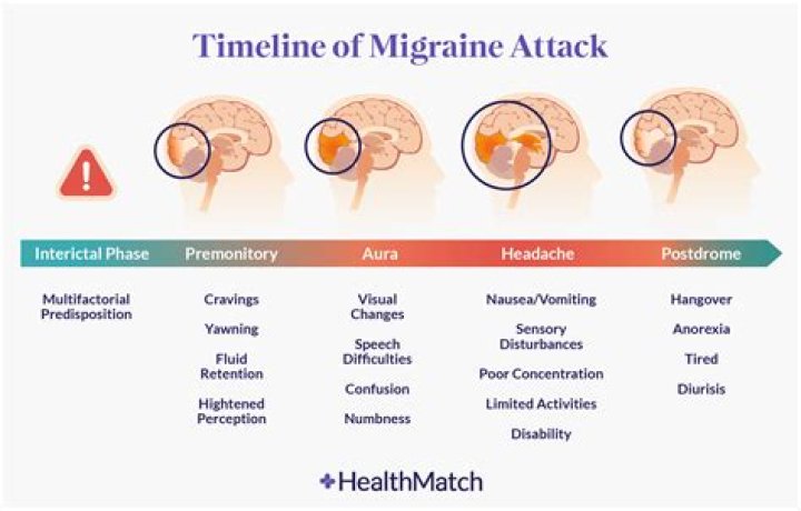 How does Invega work in the brain