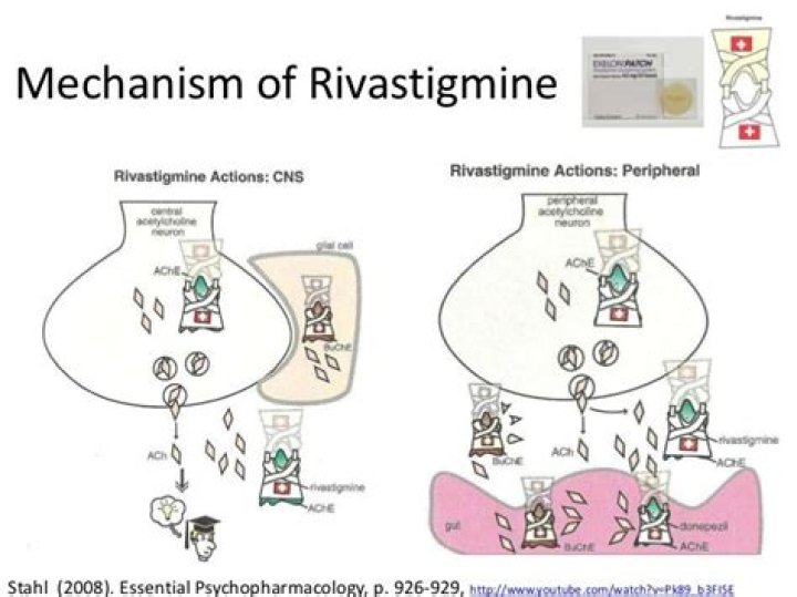 How does Rivastigmine work in the body