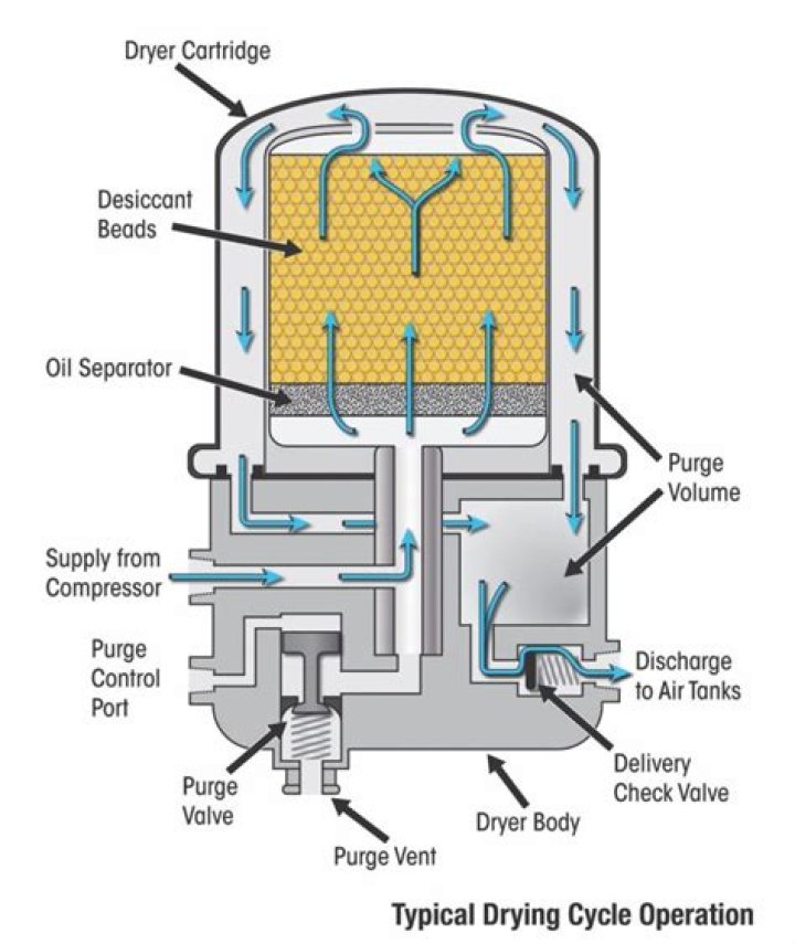 How does the purge cycle on an air dryer work?