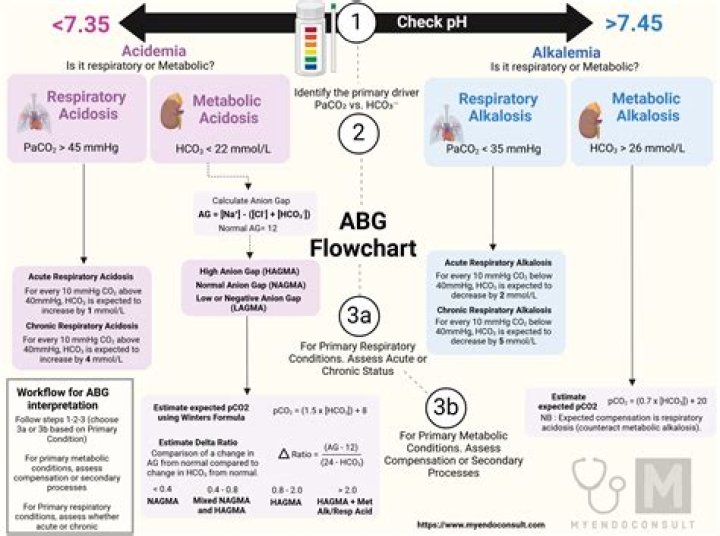 How is anion gap metabolic acidosis treated