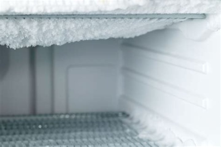 How long after defrosting a freezer can you turn it back on?