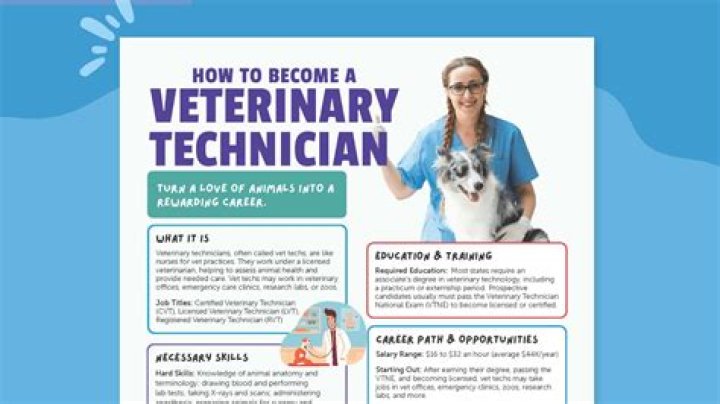How long does it take to become a vet tech in Florida