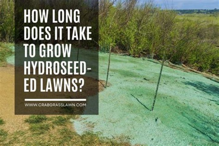 How long does it take to install water meter