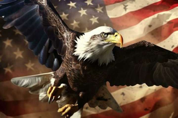 How long have I owned an American Eagle?