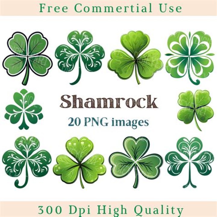 How many Shamrocks are in light up socks?