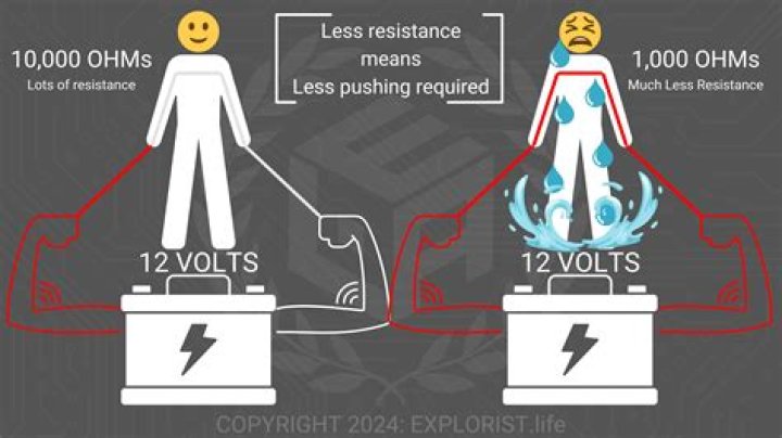 How many volts does a distribution panel Fuse have?