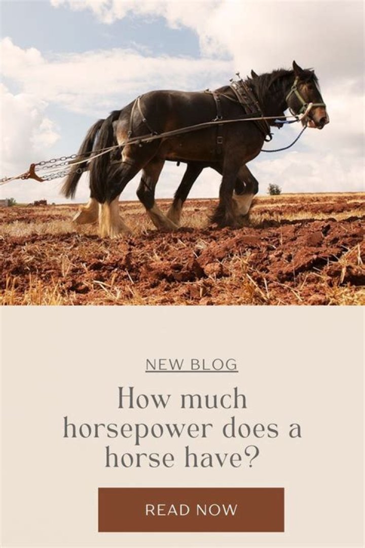 How much horsepower does a 1995 454 have?