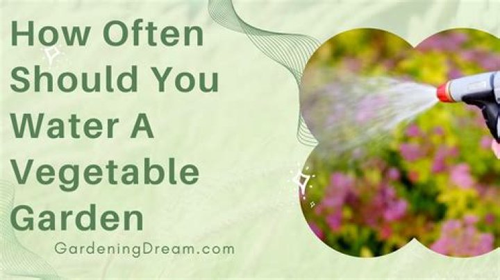 How often should you water a raised bed garden