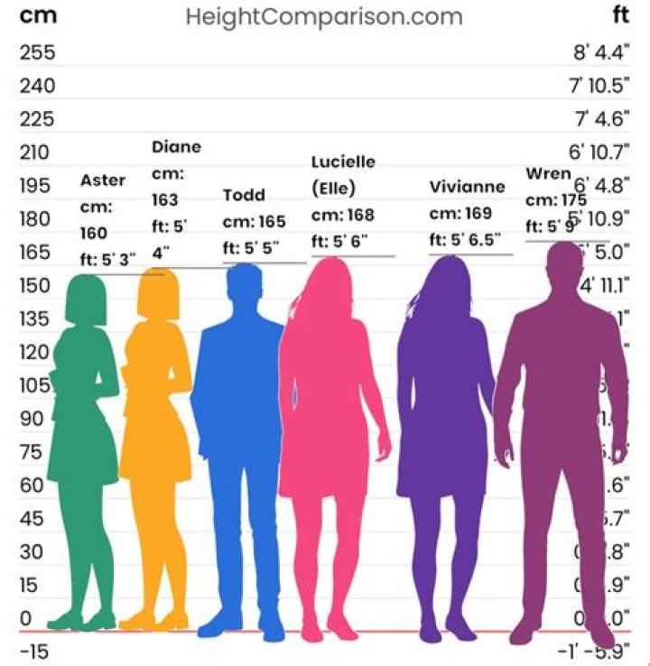 How tall is a log in feet and inches?