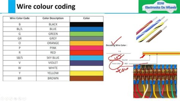 How to download an automotive wiring diagram color code?