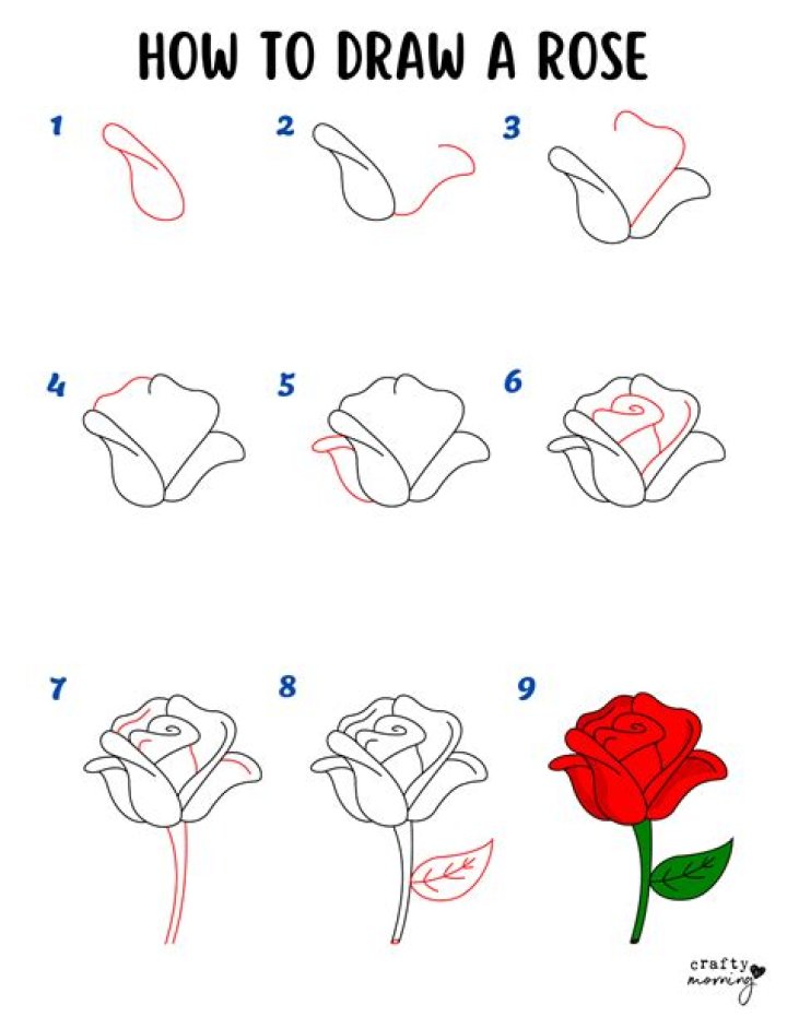 How to Draw a Rose? | Flower Drawing