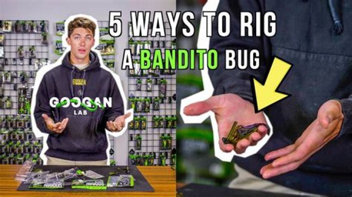 How To Fish Bandito Bug