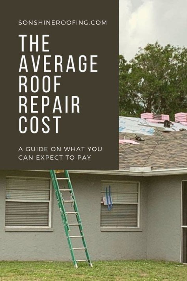 Is it possible to repair a Coleman ABS roof?