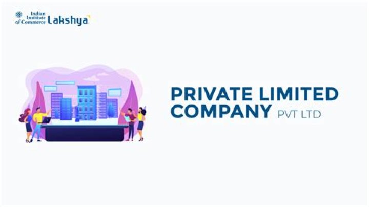 Is Levi Strauss a private company?